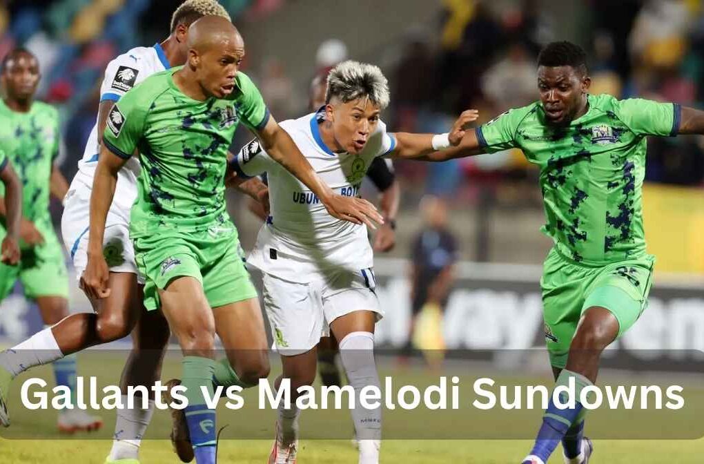 gallants vs mamelodi sundowns